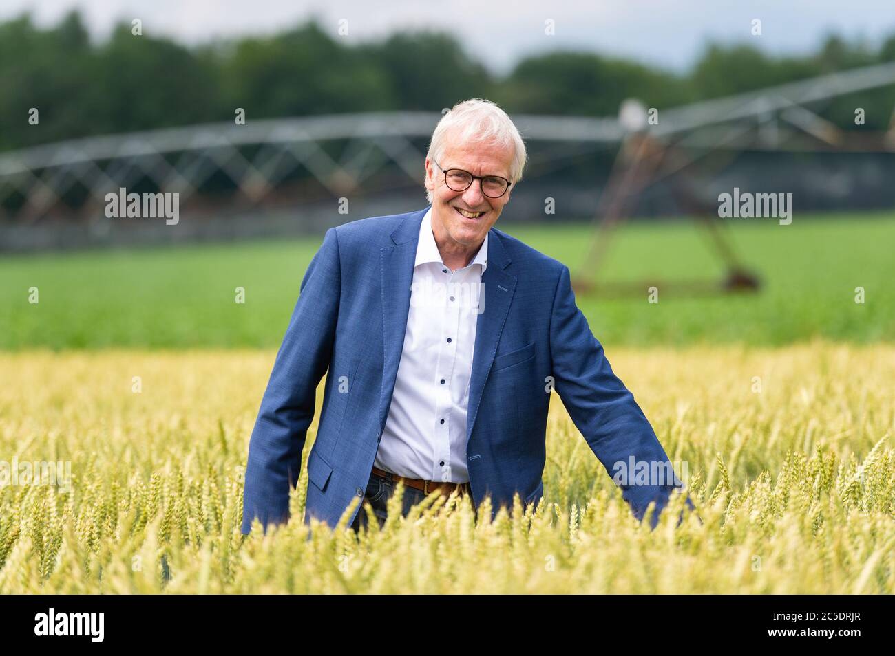 02 July 2020, Lower Saxony, Veerßen: Albert Schulte to Brinke, president of the Lower Saxony Landvolk, stands in a wheat field during a field inspection by the Landvolk Niedersachsen. Photo: Philipp Schulze/dpa Stock Photo