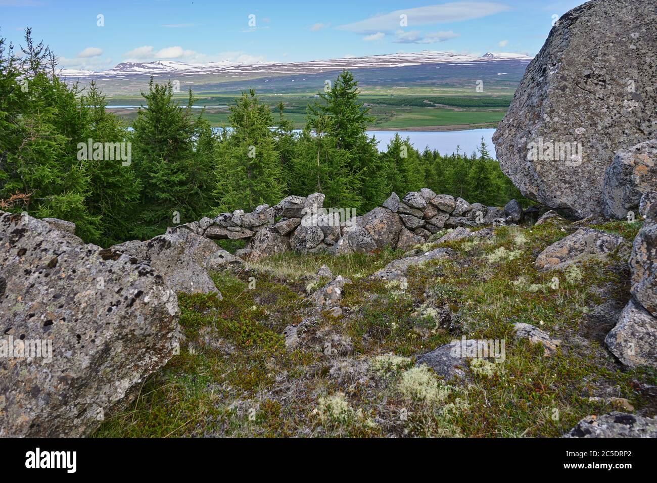 Basalt rock formations and trees by an old stone wall marking the border of Skógargerdi, a traditional farm by lake Lagarfljot in eastern Iceland Stock Photo