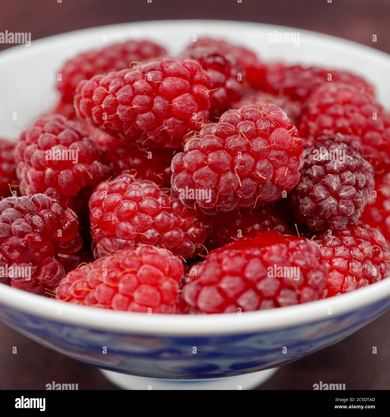 Macro photo of fresh loganberries (Rubus loganobaccus) in a bowl Stock Photo
