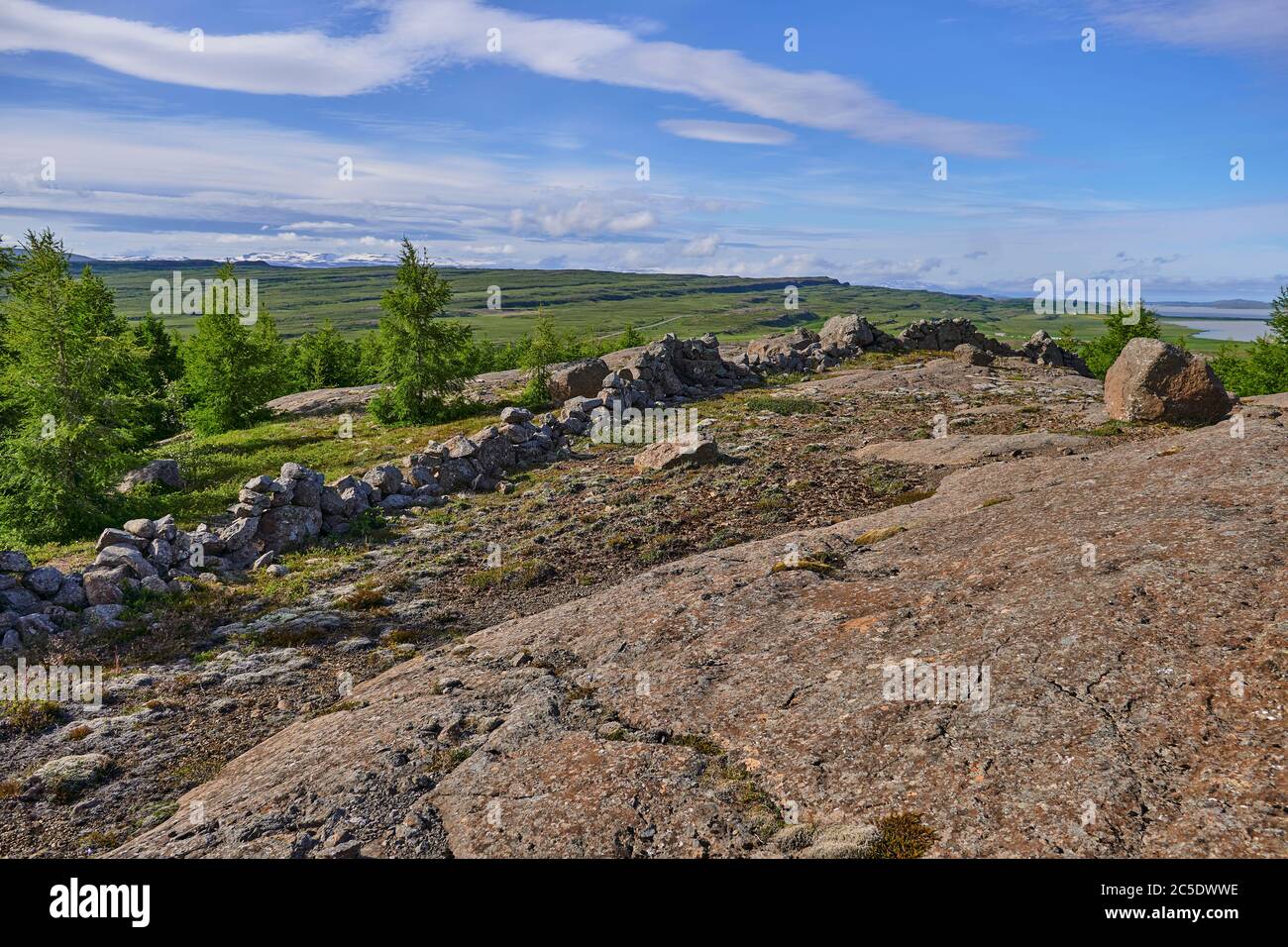 Basalt rock formations and trees by an old stone wall marking the border of Skógargerdi, a traditional farm by lake Lagarfljot in eastern Iceland Stock Photo