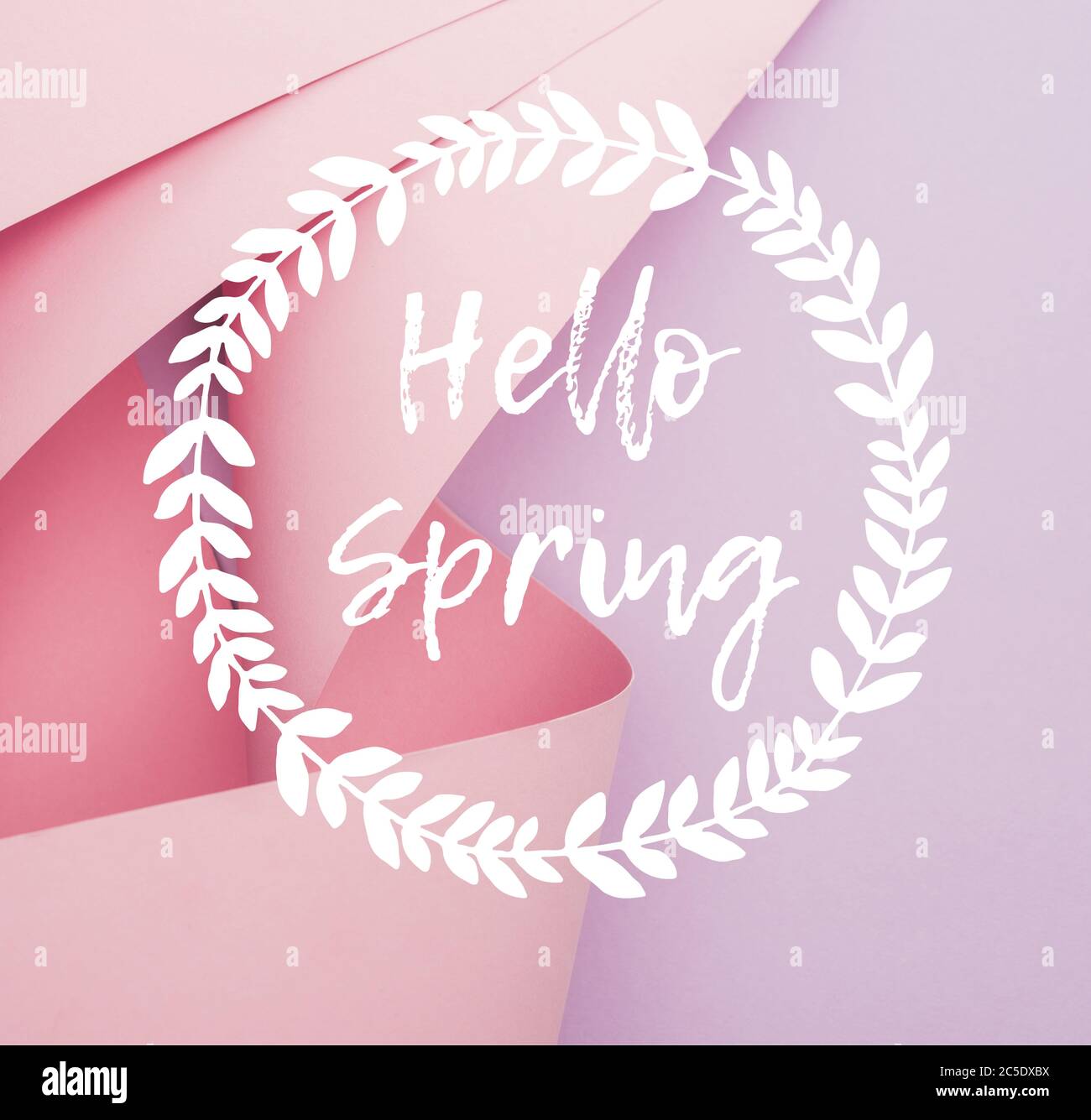 Hello Swirl top view of pink paper swirls on violet background, hello spring ...