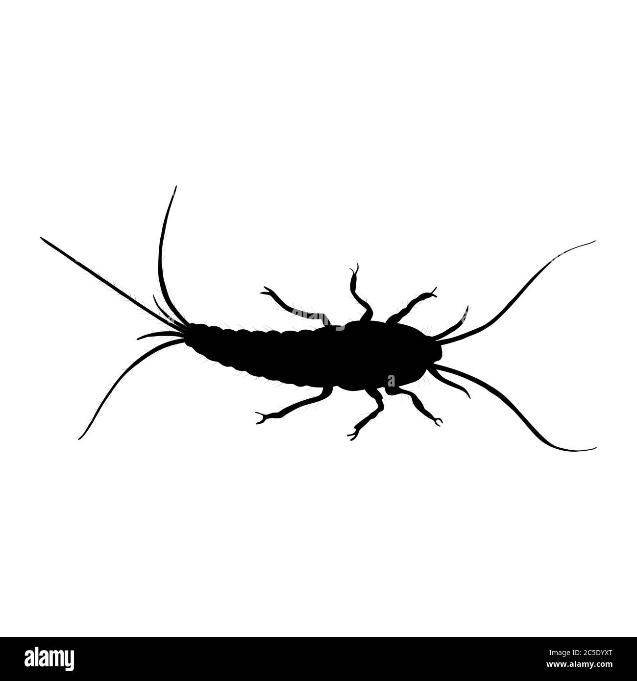 Silverfish silhouette isolated on white background. Vector. Stock Vector