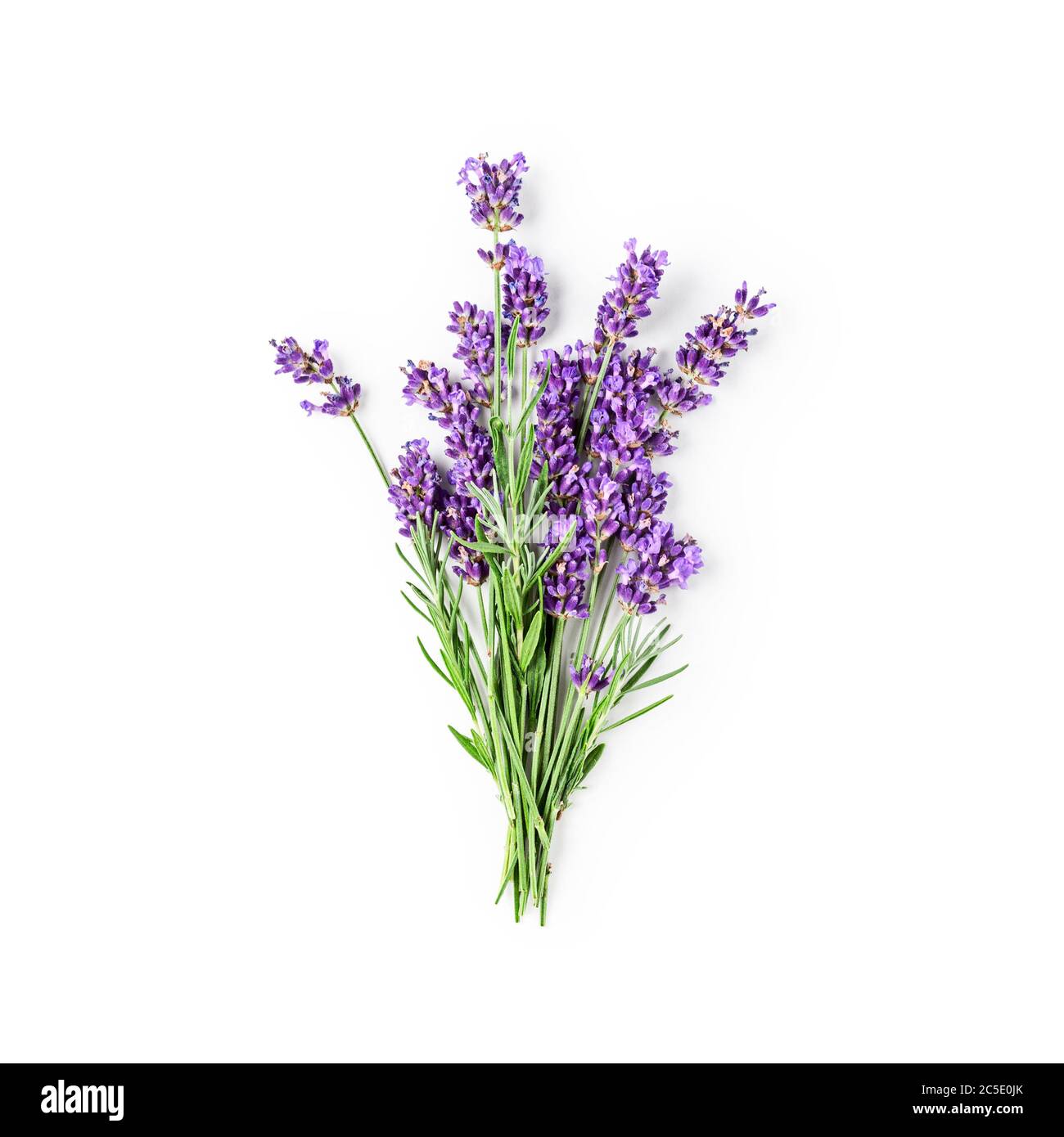 Lavender flowers and leaves bunch isolated on white background with  clipping path. Top view, flat lay. Floral design element. Healthy eating  and alter Stock Photo - Alamy