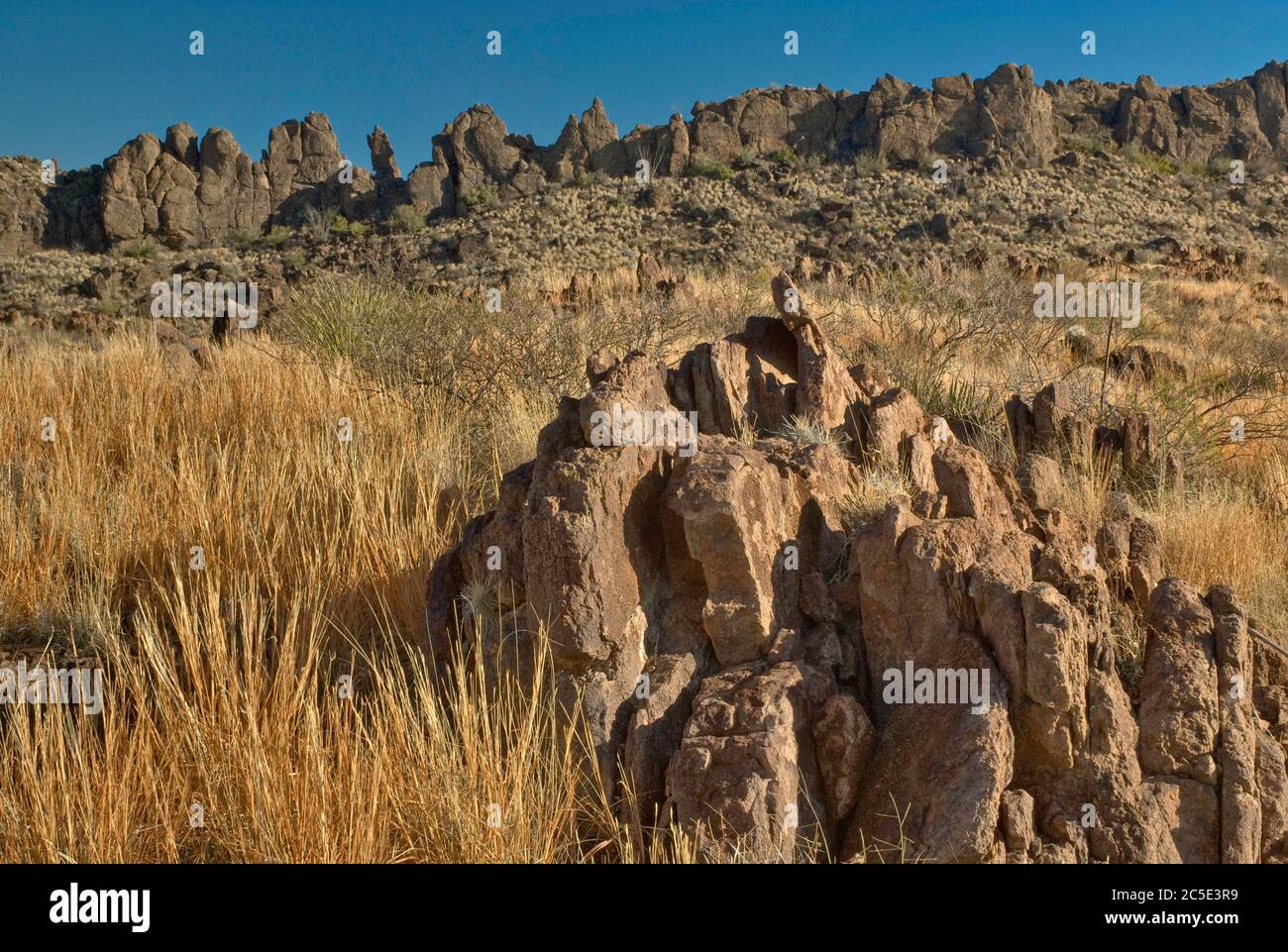Volcanic trachyte dikes at grassland,  Chihuahuan Desert in Big Bend Ranch State Park, Texas, USA Stock Photo