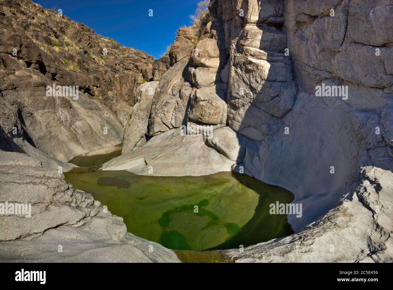 Water pools of Cinco Tinajas, Chihuahuan Desert, Big Bend Ranch State Park, Texas, USA Stock Photo