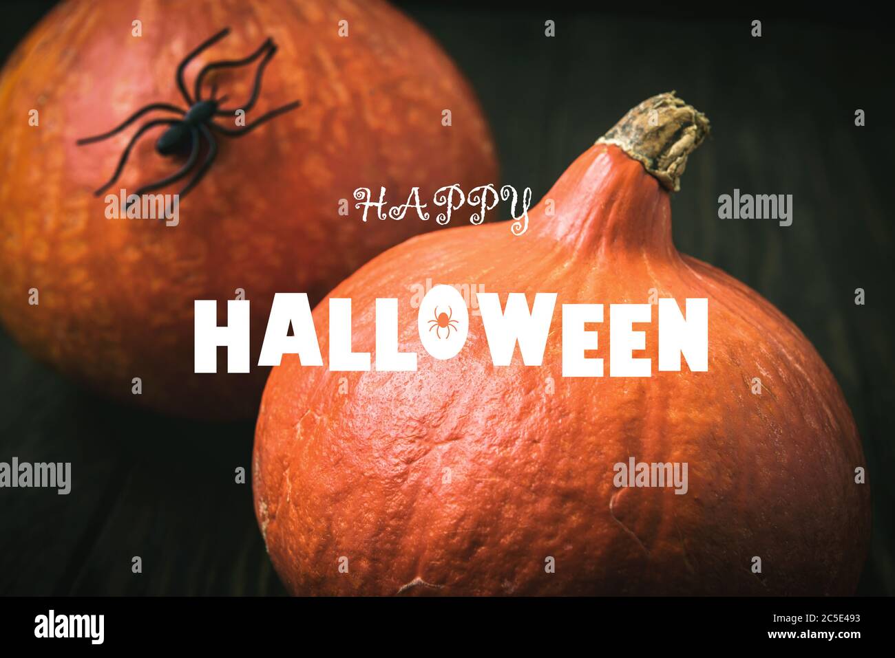 Happy Halloween banner. Pumpkins and black spider on dark table. Halloween typography on food background. Natural pumpkins on vintage wooden boards cl Stock Photo