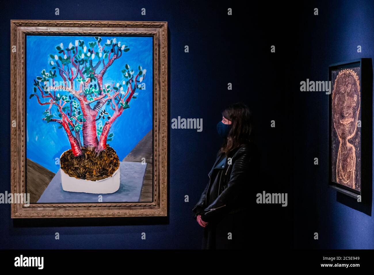 London, UK. 02nd July, 2020. David Hockney, Jade Plant, Estimate GBP 1,500,000 - GBP 2,500,000 - Christie's has now opened by appointment, only, in London and this week unveiled an exhibition of ONE: A Global Sale of the 20th Century. Credit: Guy Bell/Alamy Live News Stock Photo