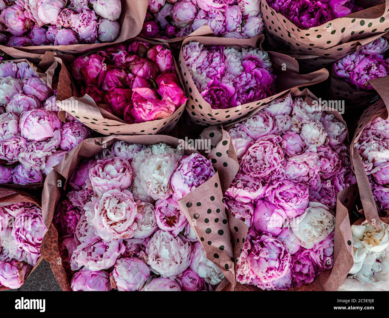 Bouquets of pink and white peonies. Bouquets of peony flowers on the farmers market. Stock Photo