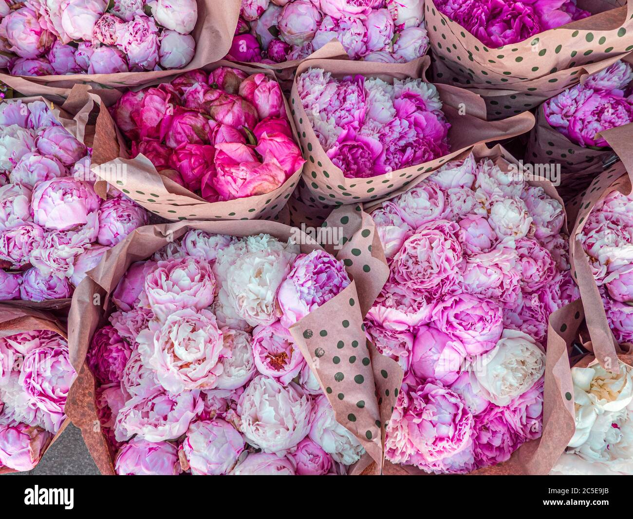 Bouquets of pink and white peonies. Bouquets of peony flowers on the farmers market. Stock Photo