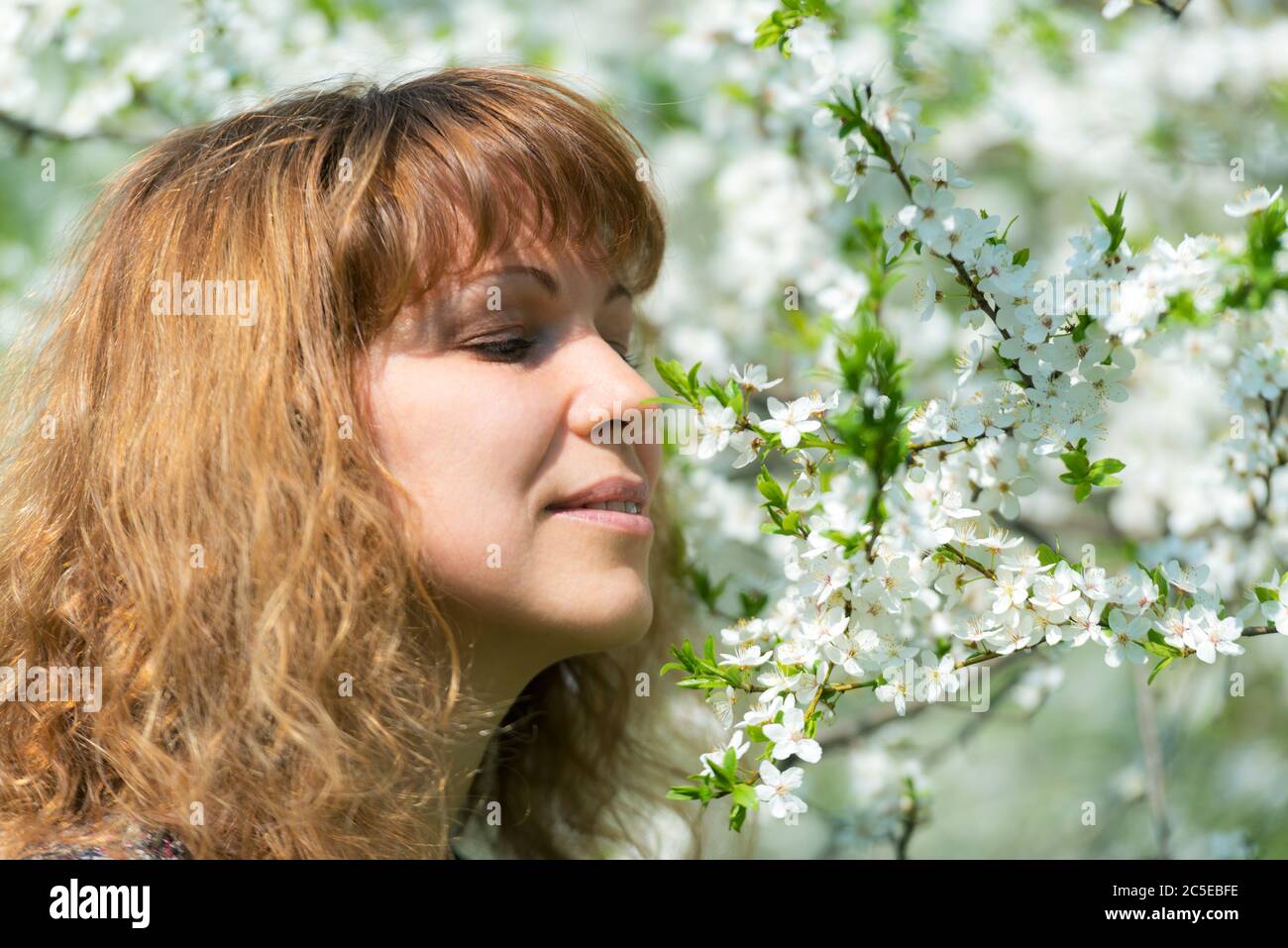 Young woman and cherry blossom Stock Photo