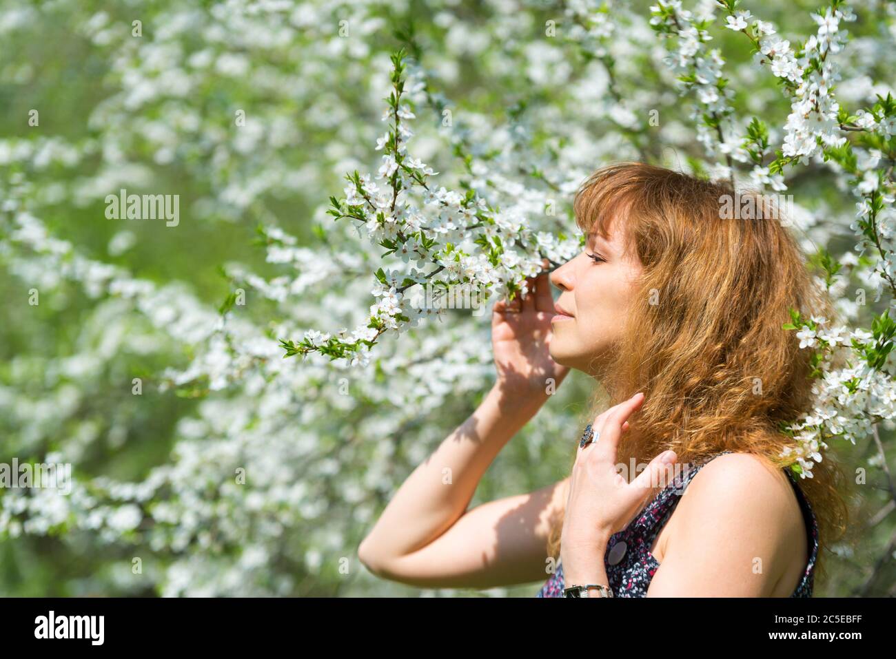 Young ginger woman and cherry blossom Stock Photo