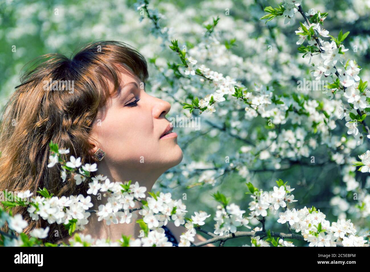 Young woman and cherry blossom Stock Photo