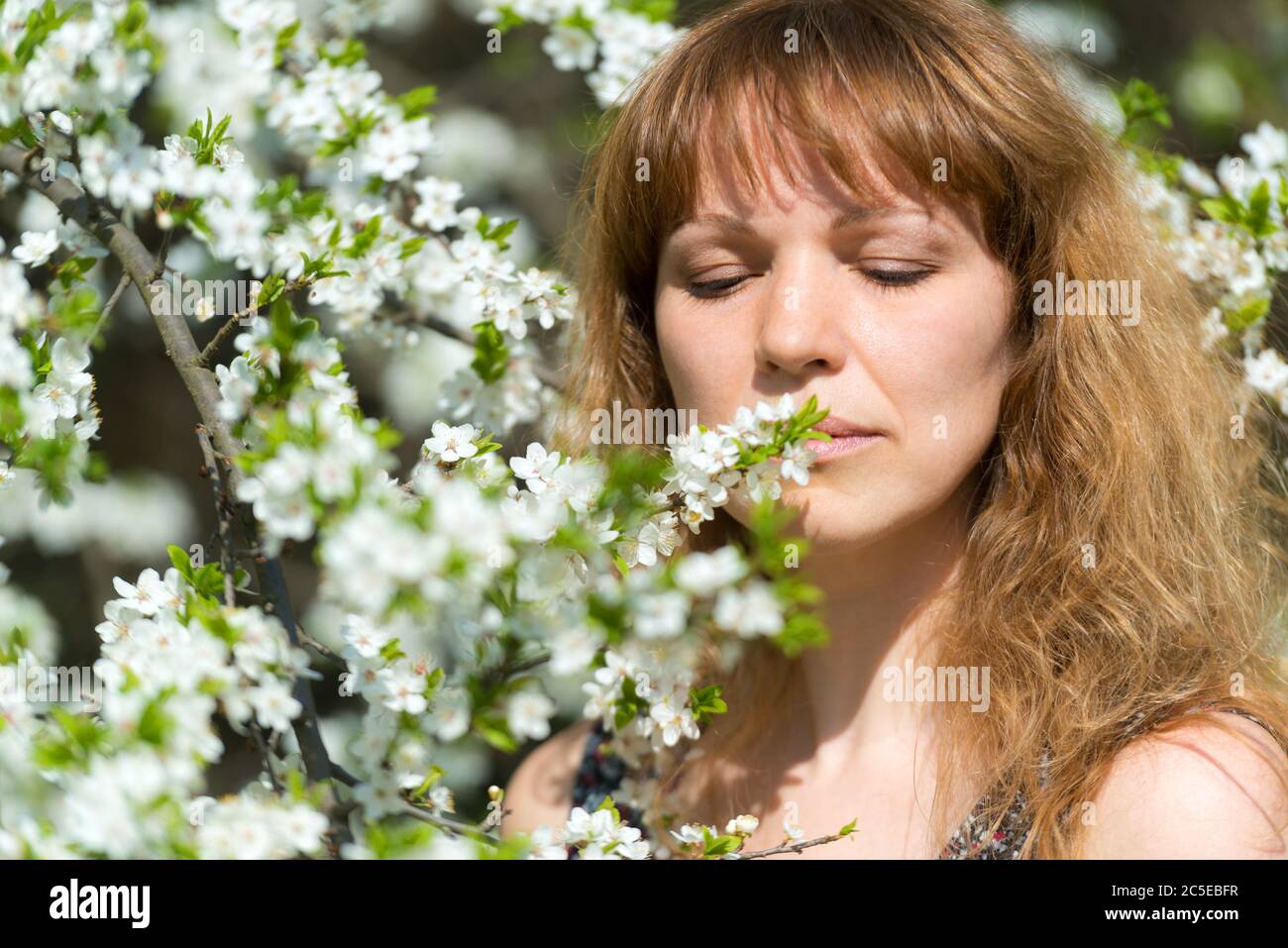 Young blondy woman and cherry blossom Stock Photo