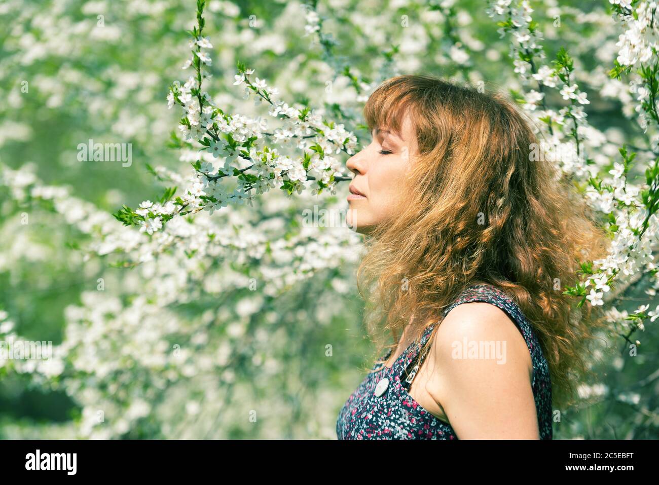 Young woman with closed eyes smelling cherry blossoms Stock Photo - Alamy