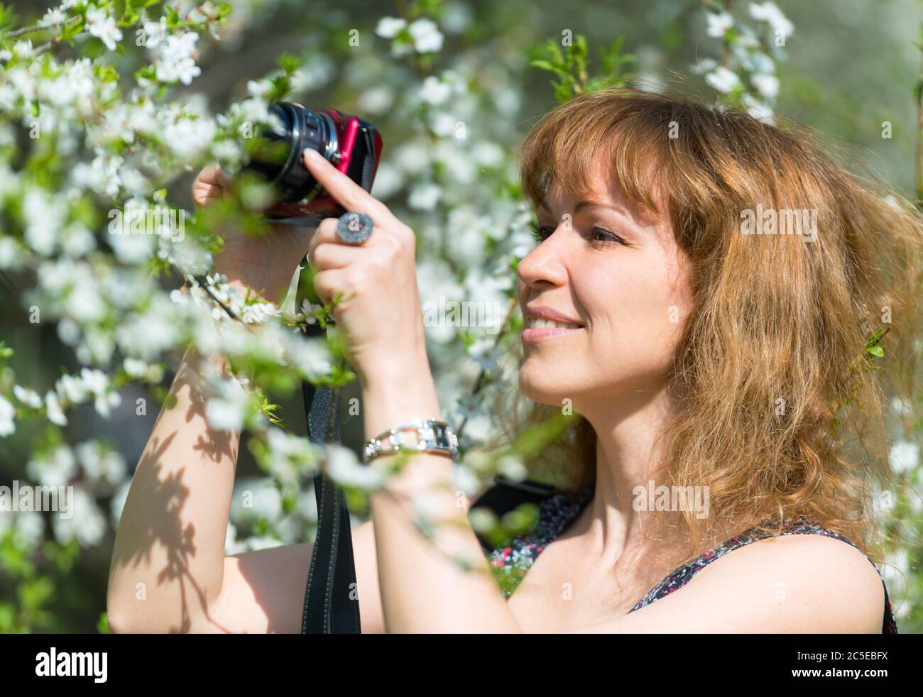 Young woman photographs cherry blossom on a spring day Stock Photo