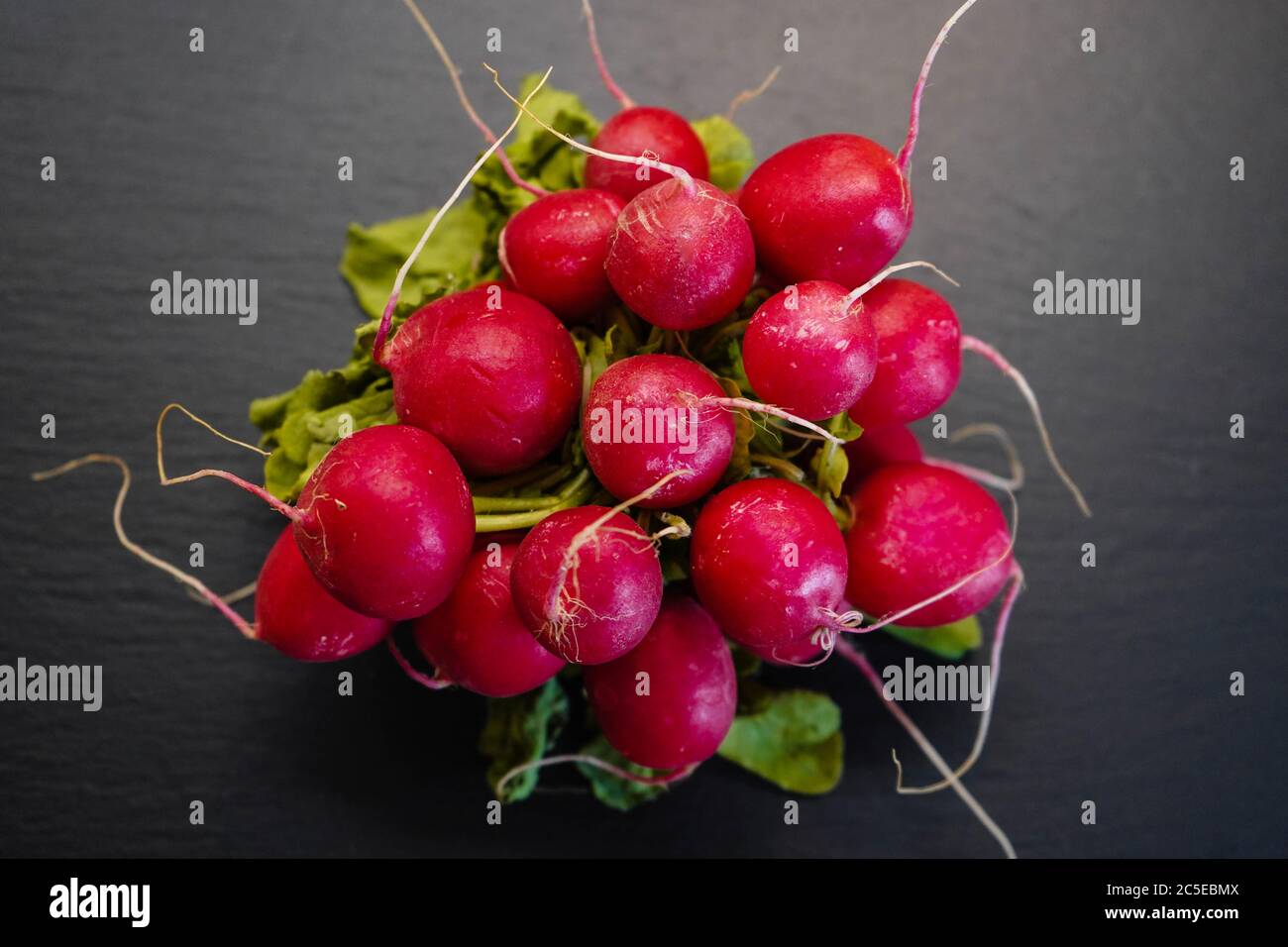 Spring salad lots vegetables hi-res stock photography and images - Alamy