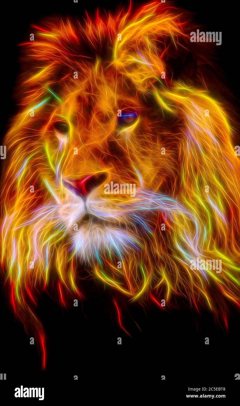Isolated portrait of a mighty african male lion Stock Photo - Alamy