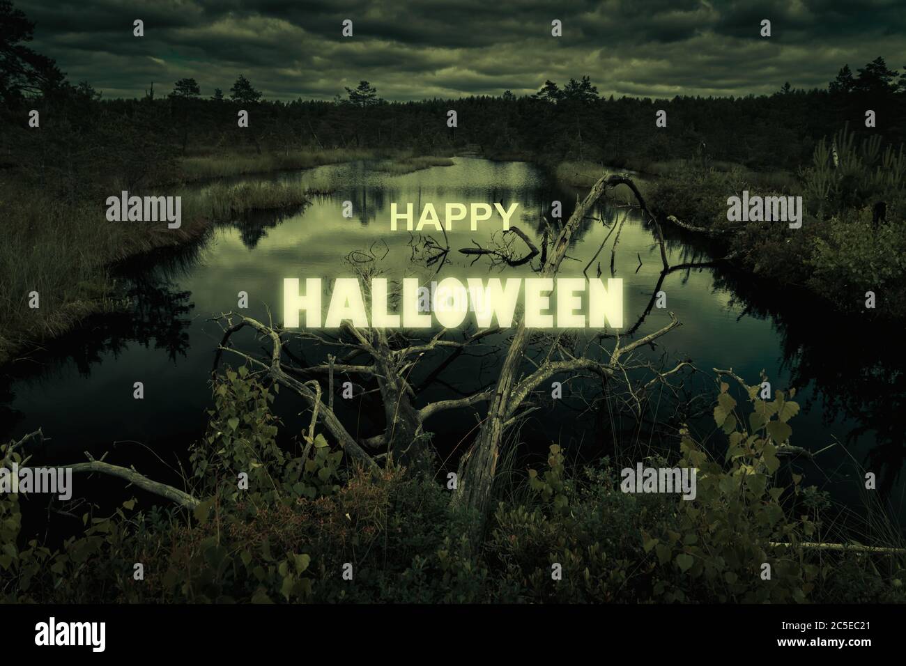 Haunted forest swamp on Halloween. Poster with spooky marsh or bog at night. Creepy view of dark mystery place in twilight. Scary gloomy landscape wit Stock Photo
