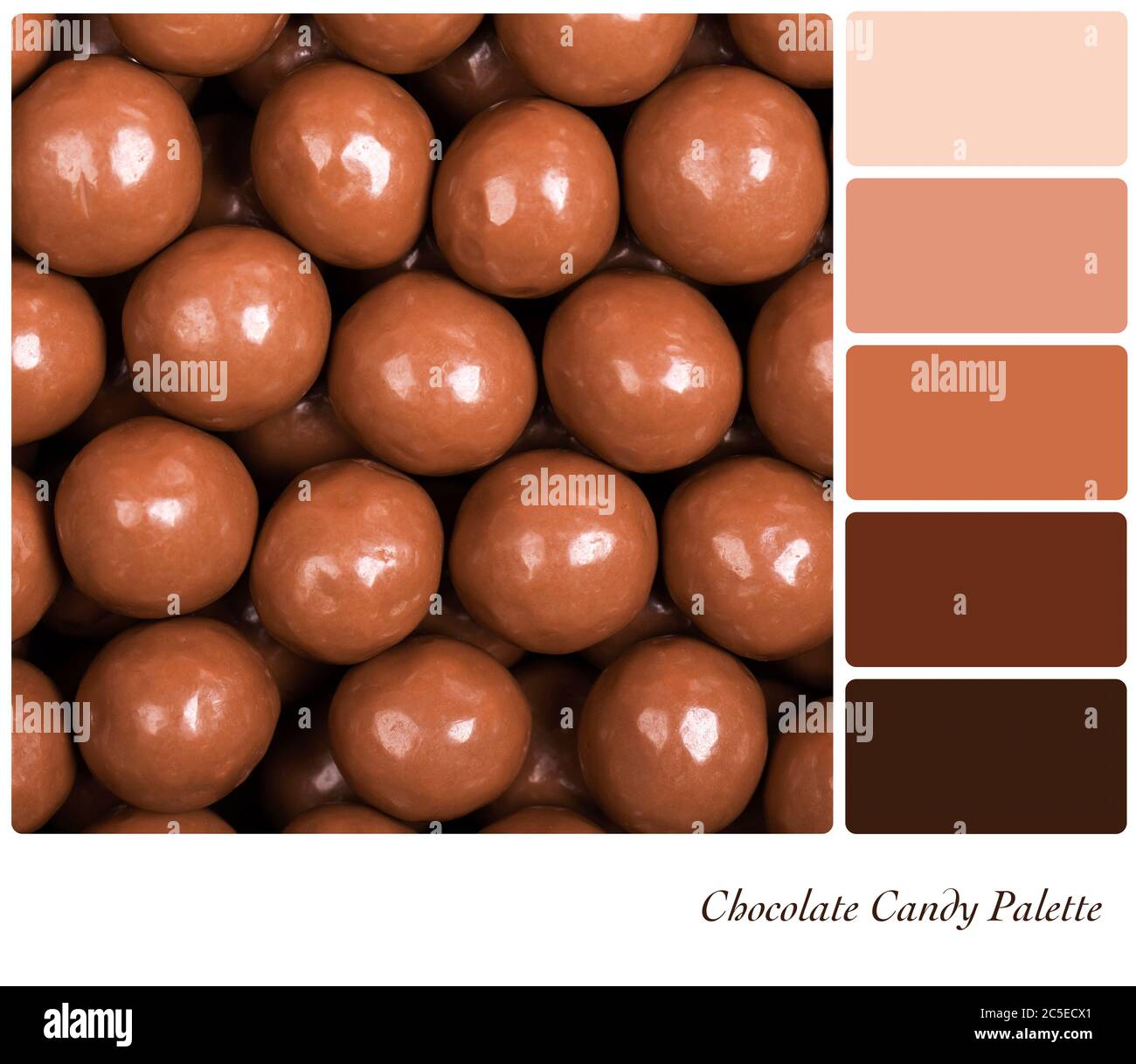 Chocolate Color Swatch