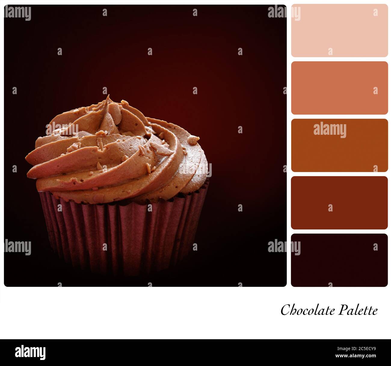 Chocolate cupcake palette with complimentary colour swatches Stock