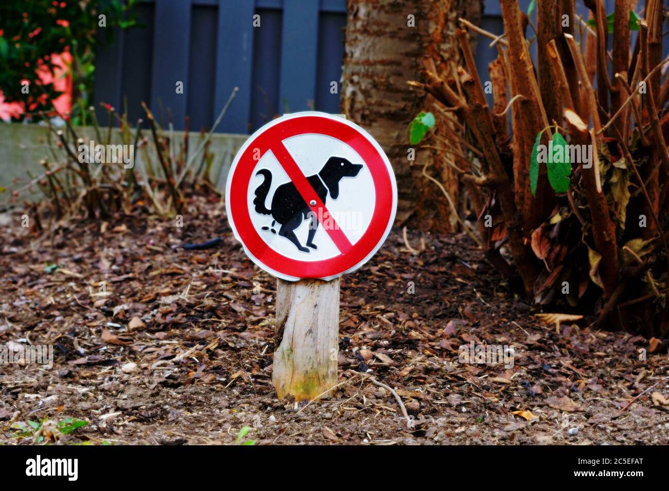 Round Street Sign with a Dog, who makes a Portion of Excrements and a Red Line. It will say: Keep the Dirt of your Dog away! Stock Photo