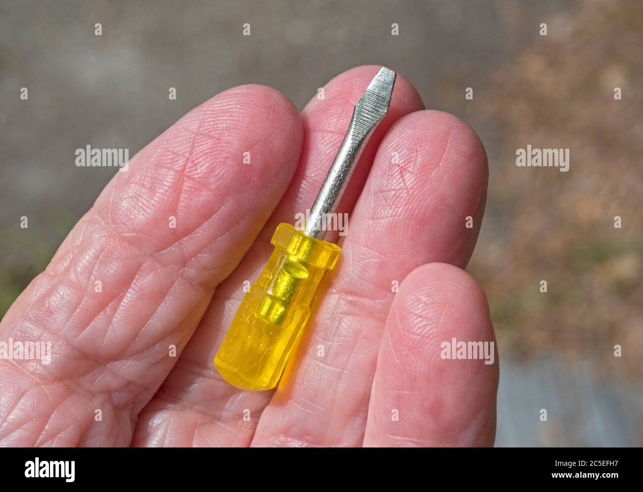 Tiny screwdriver ready for action Stock Photo Alamy