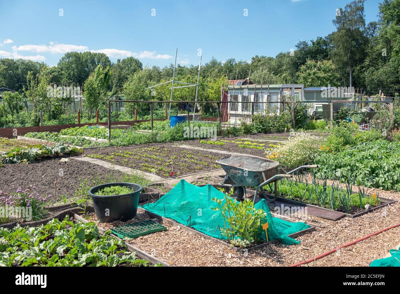 Wheelbarrow vegetable garden gardening hires stock photography and