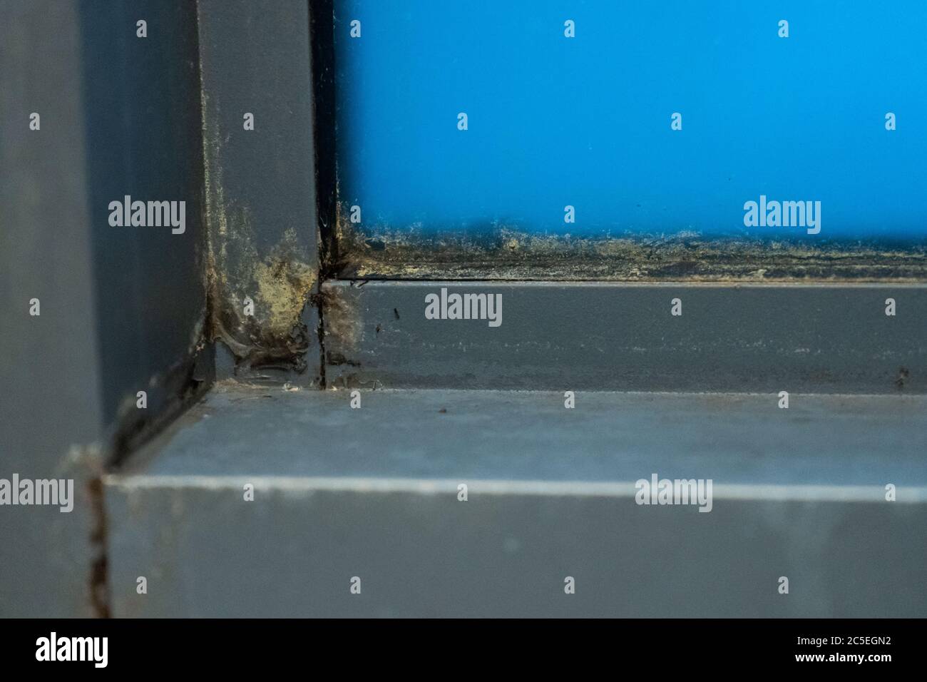Old plastic window frame in the shower. Moldy angle, fungus. Problem
