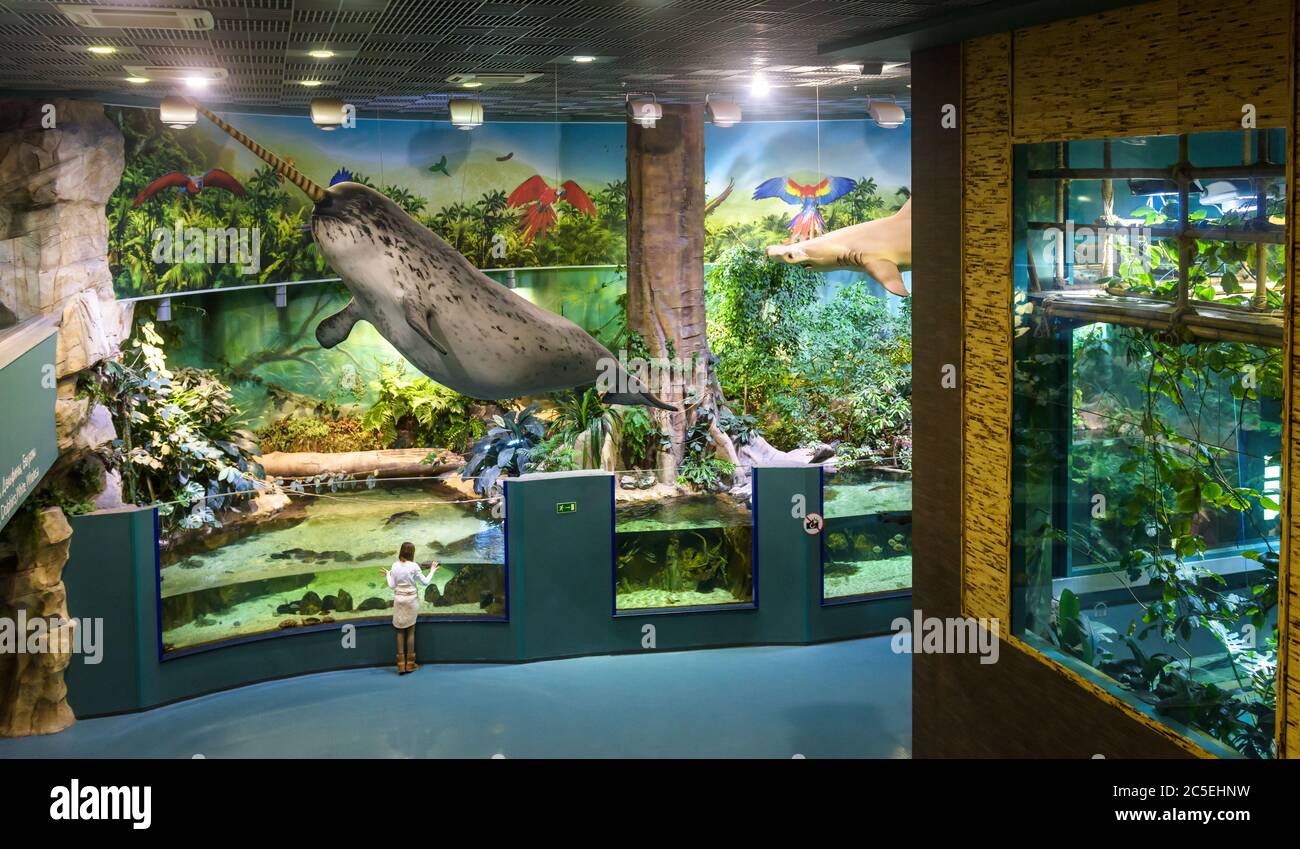 Moscow - April 2, 2018: Modern large aquarium in VDNKh park, Russia. Panoramic view of Aquatic Zoo interior. Girl teenager looks at water animals in a Stock Photo