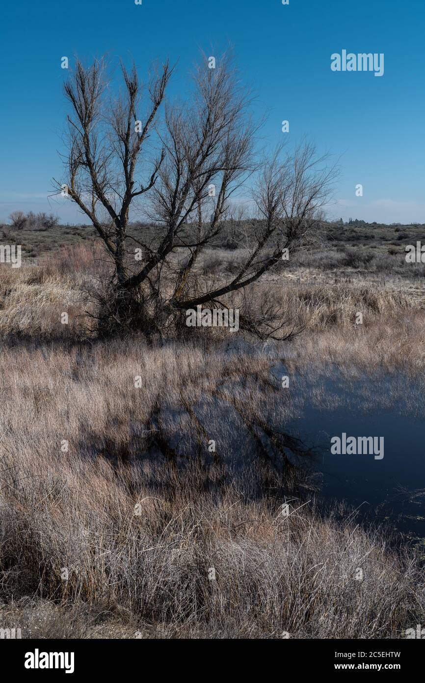 Sand Dunes Rd Area, Moses Lake, WA Stock Photo Alamy