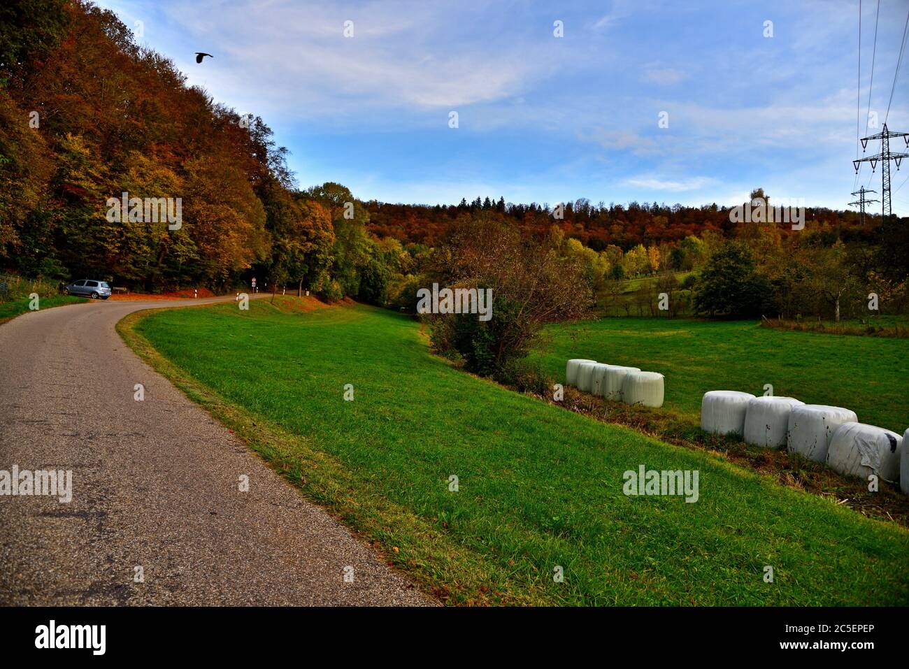 Forest Trees with Colorful Autumn Leaves, Grass Fields, Bales of Straw in White Plastic Sheet and Masts at an Autumn Evening, Swabian Alb, Germany, EU Stock Photo