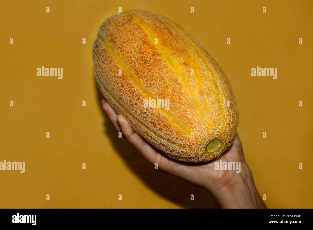 hand holding Muskmelon sugar melon fruits healthy food, whole and slice