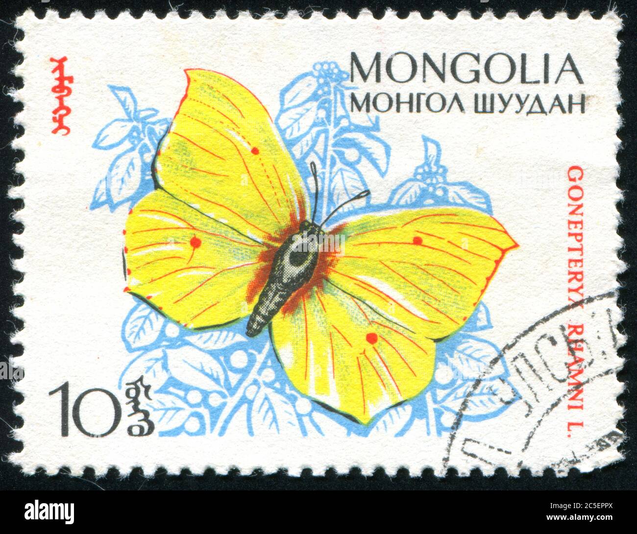 MONGOLIA CIRCA 1963 stamp printed by Mongolia shows butterfly