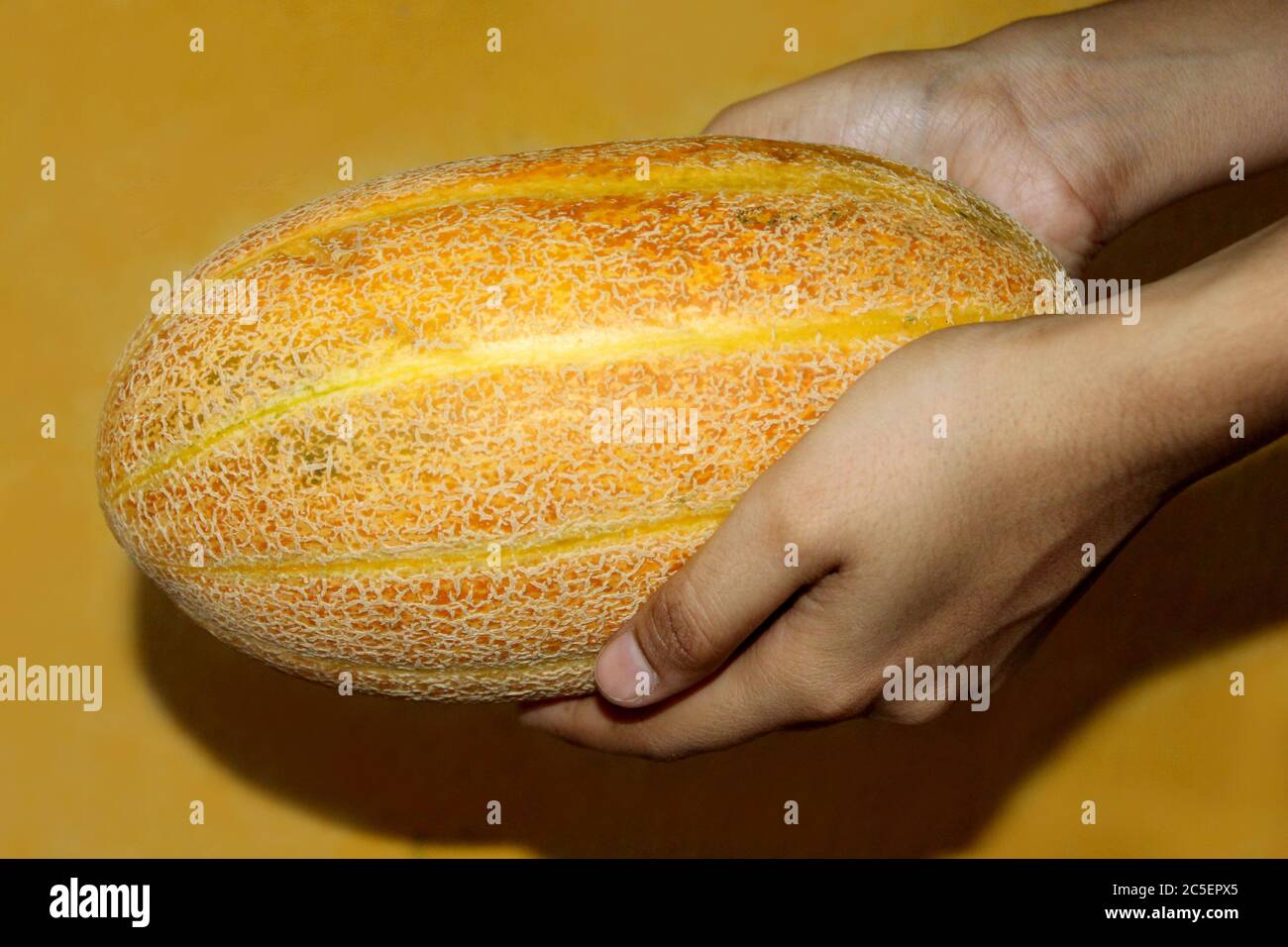 hand holding Muskmelon sugar melon fruits healthy food, whole and slice of japanese melons