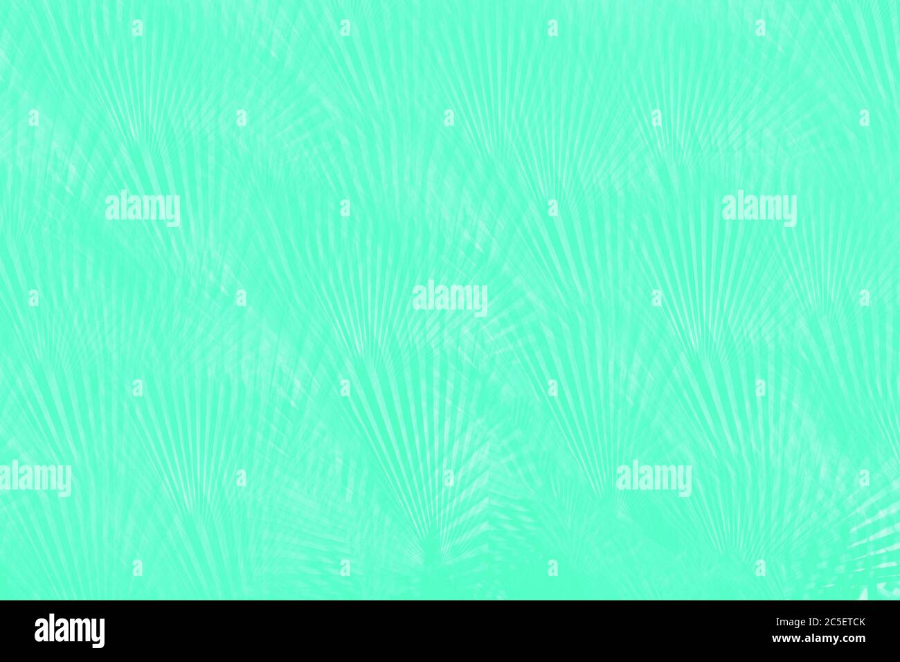Light mint green abstract background with palm leaves pattern Stock