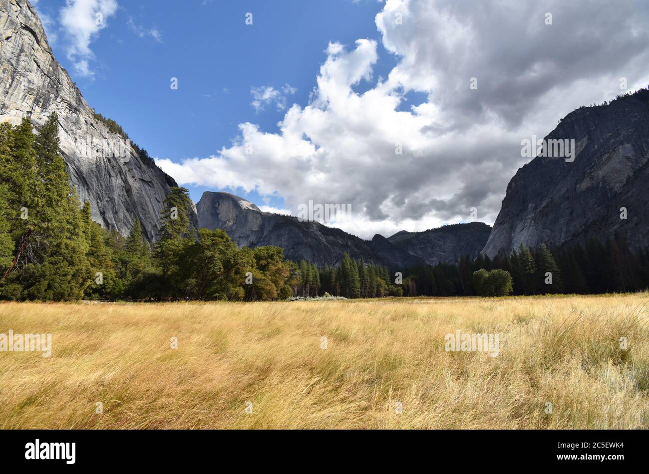 Meadow in Yosemite Valley looking towards Half Dome and surrounding rock formations in Fall / Autumn colours with yellow grass and green trees. Stock Photo