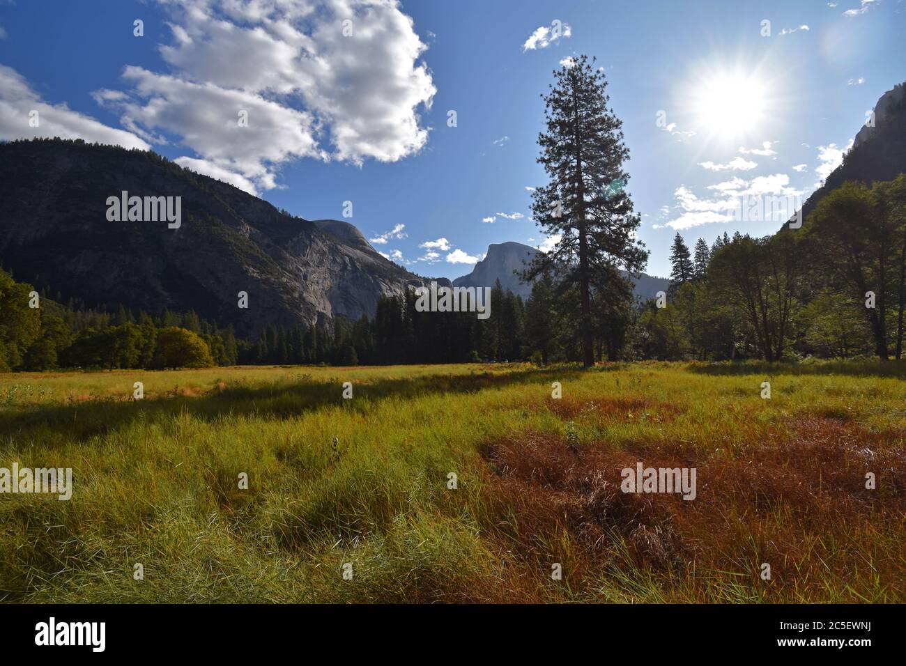 Meadow in Yosemite Valley featuring Half Dome and rock formations in the background. Fall / Autumn colours with red and yellow grass in the meadow. Stock Photo