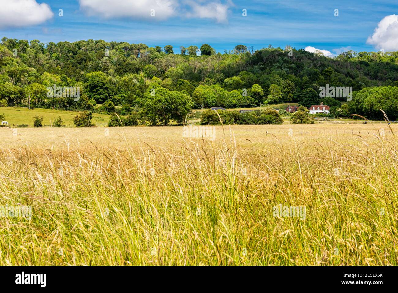 Agricultural fields in Boxley near Maidstone in Kent, England Stock