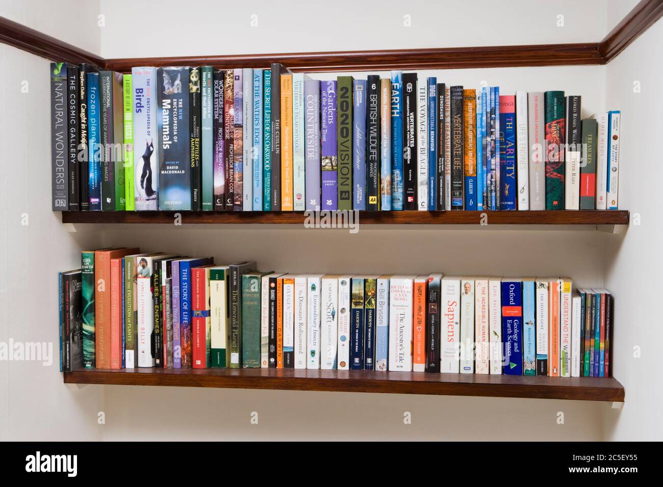 Bookcase full of books hires stock photography and images Alamy
