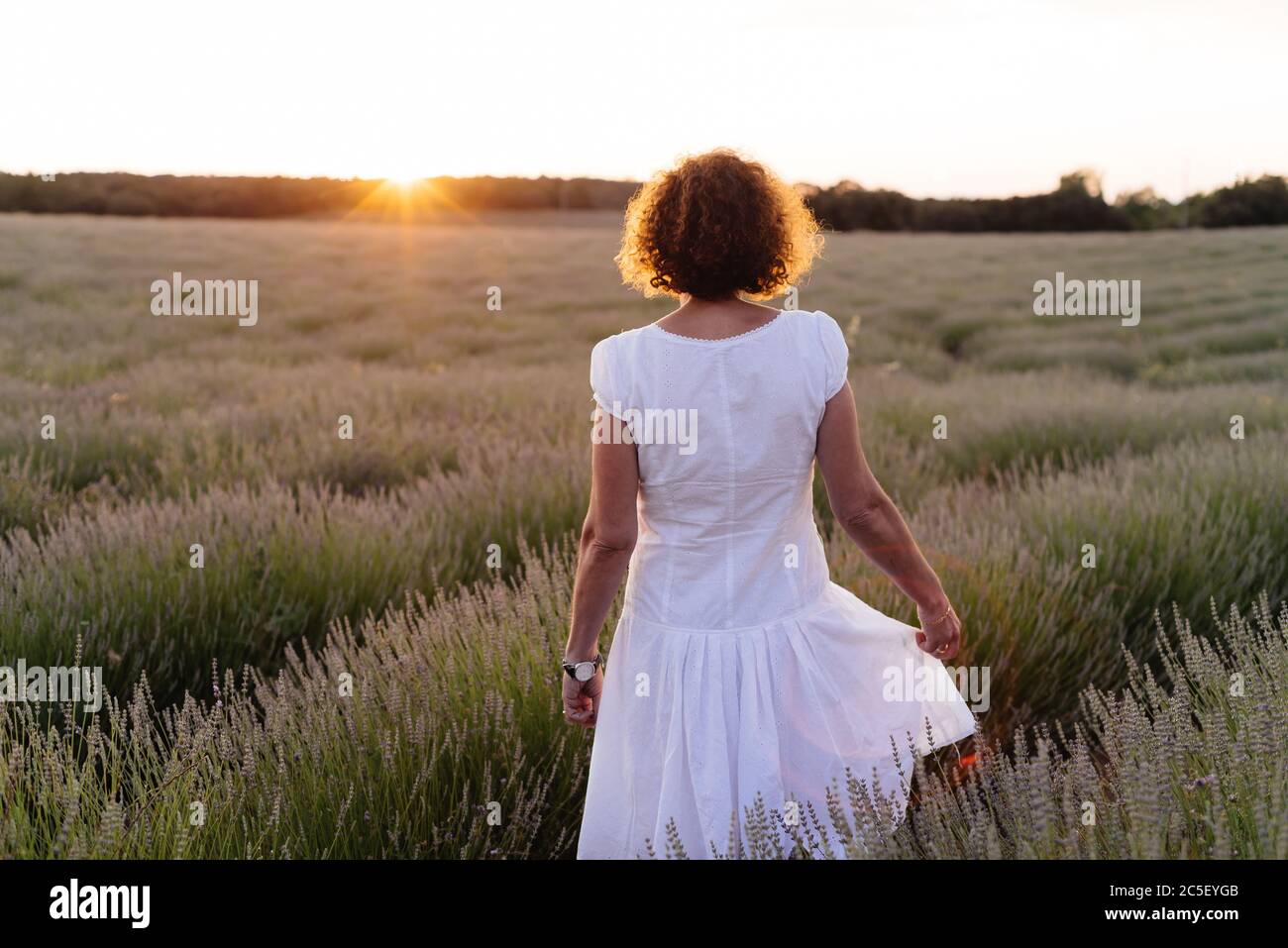 Beautiful woman in a white dress walks in the lavender field against ...