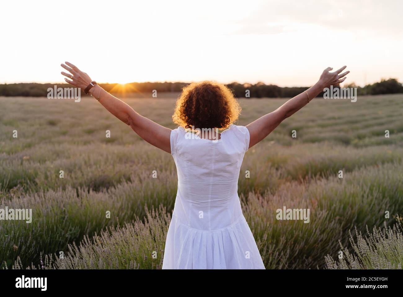 Beautiful woman in a white dress walks in the lavender field against ...