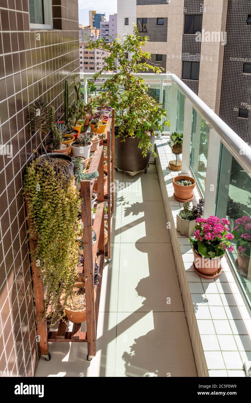 garden and garden on the balcony of the apartment on sunny day Stock