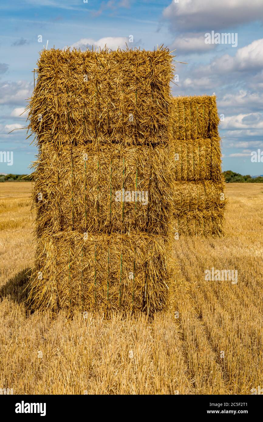 Ripe Haystack Tied haystacks hi-res stock photography and images - Alamy