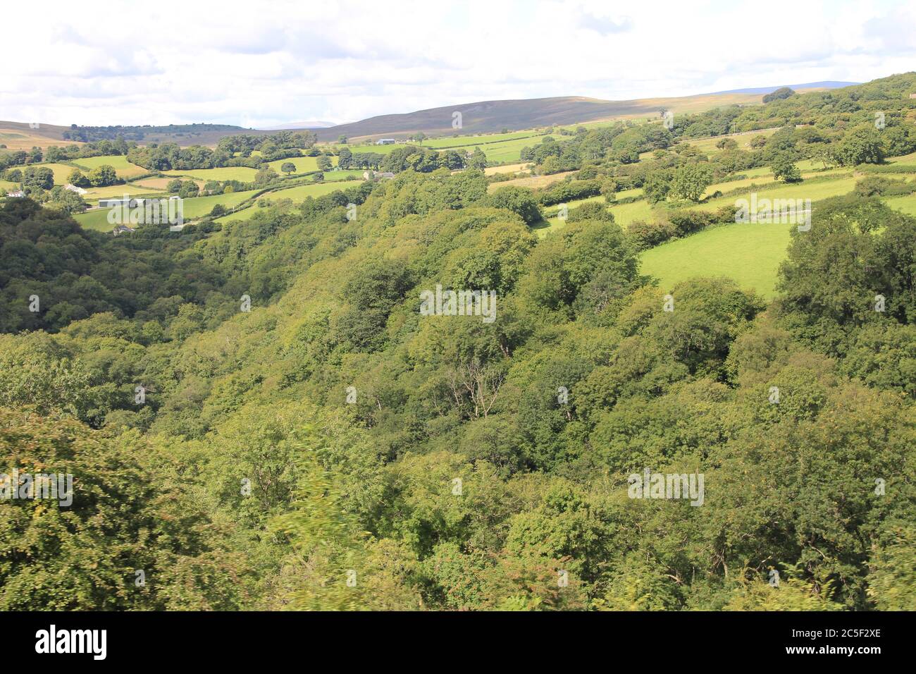 Brecon Mountain Railway in Glamorgan. Wales Stock Photo