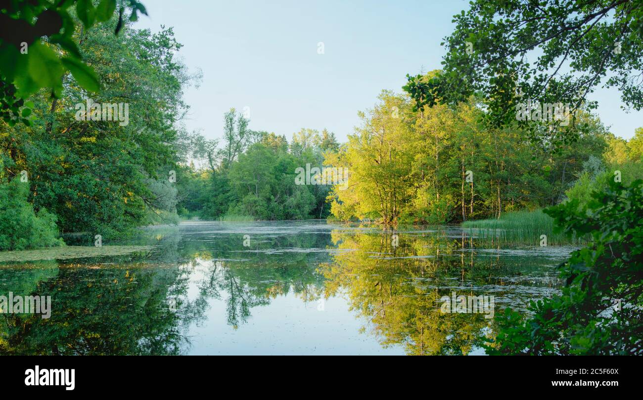 Panoramic view of early sunny morning lake with green trees, morning mist and tranquil reflection. Estonia, Harku. Stock Photo
