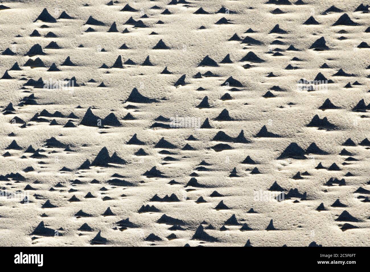 wind and water created sand texture on the seashore Stock Photo