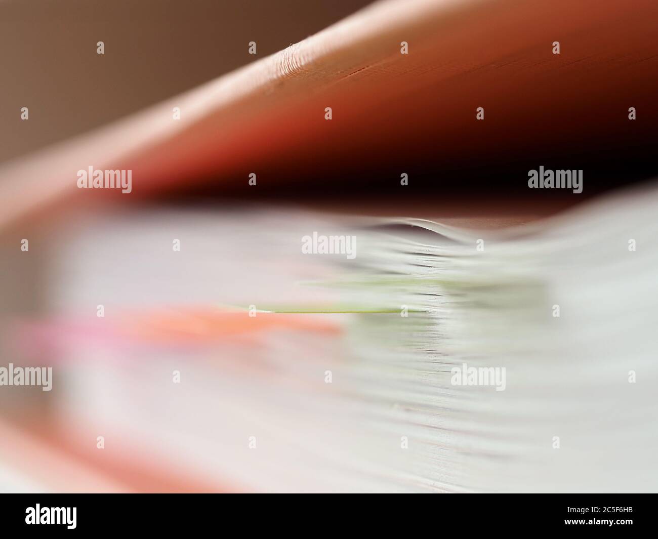 Files in company archive Stock Photo Alamy
