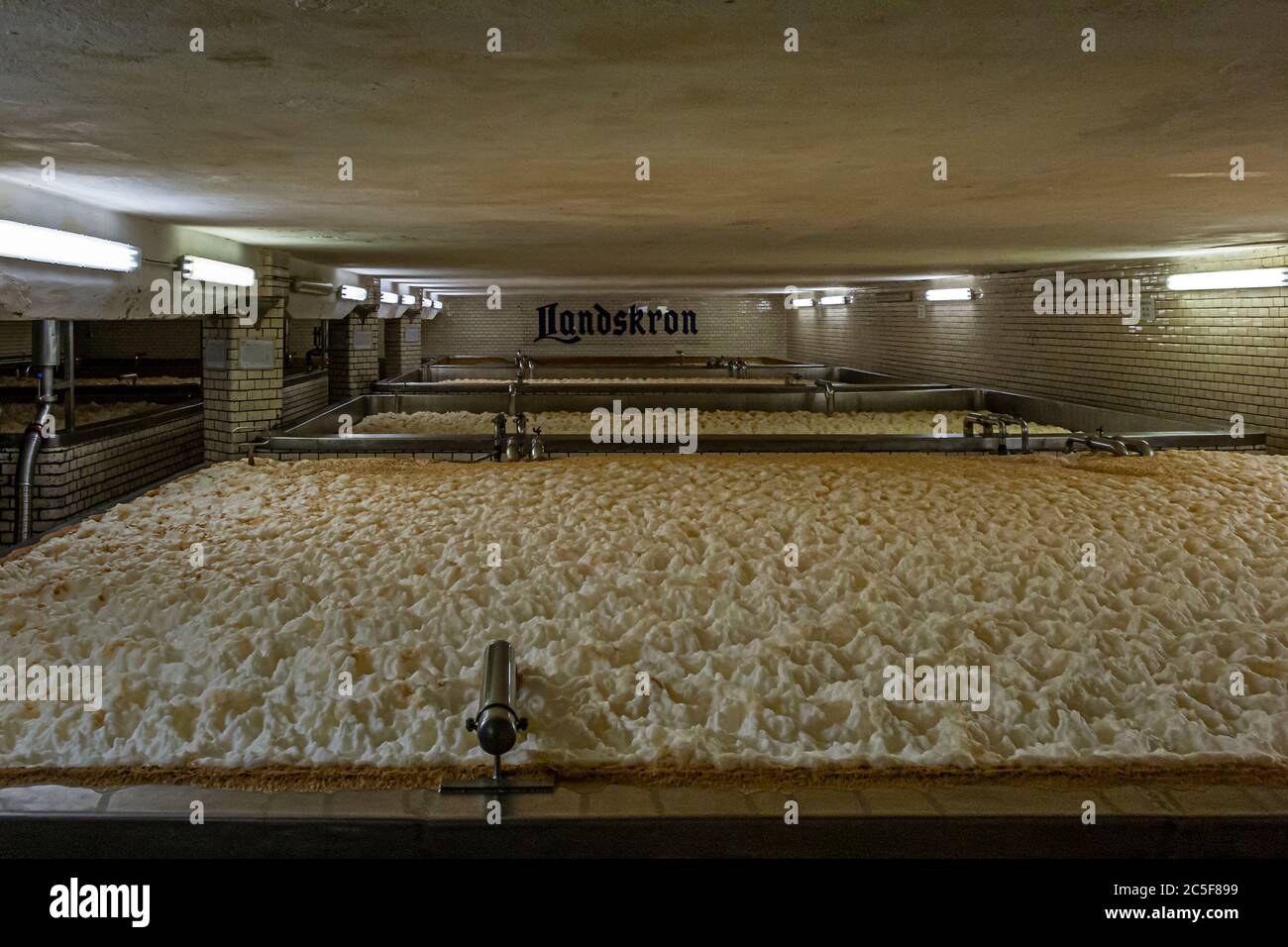 Open beer fermentation at the Landskron brewery in Görlitz Stock Photo