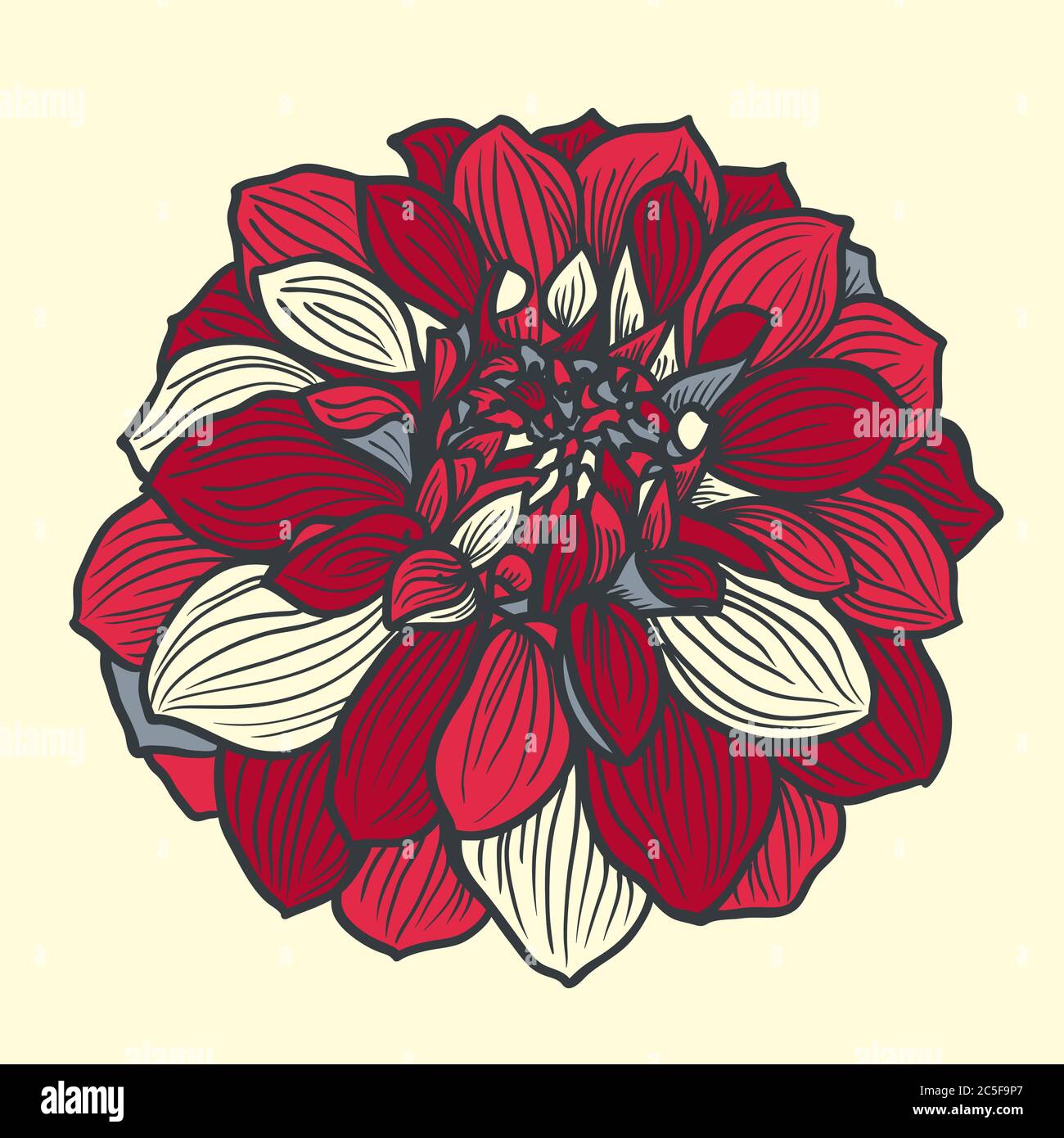 Hand-drawn flower of dahlia. Design element for wedding event.. Vector illustration. Stock Vector