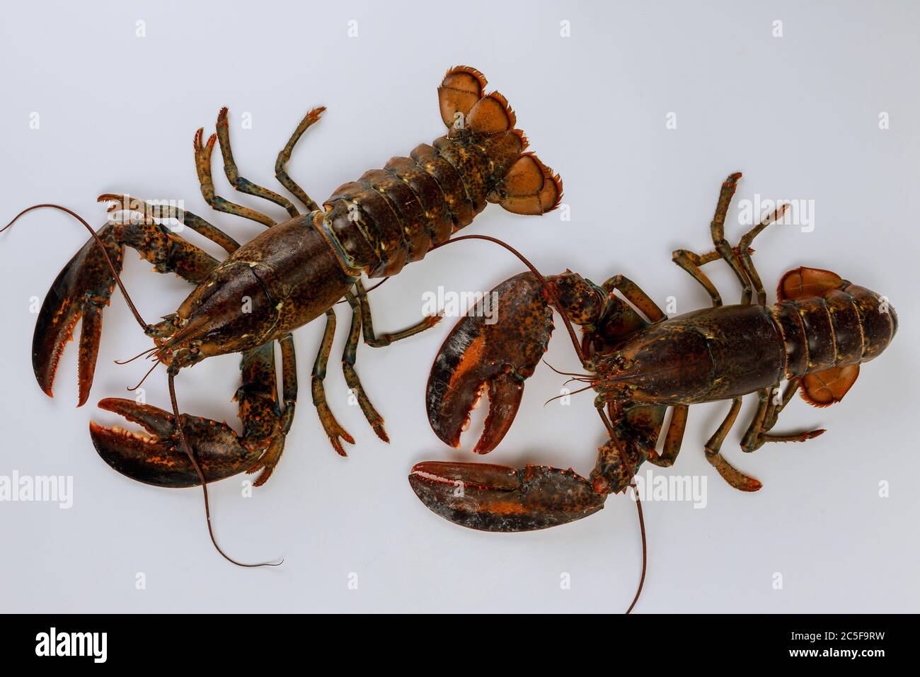 Large still life with lobster hi-res stock photography and images - Alamy